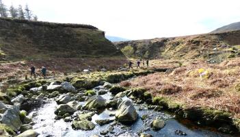Tranquil tracks and pretty waterways