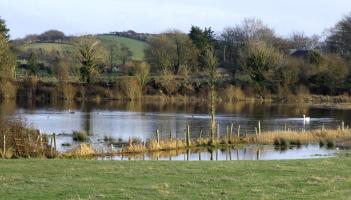TOWNLAND TALES: Digging into the fields of Murrisk, Burrishoole and Carra