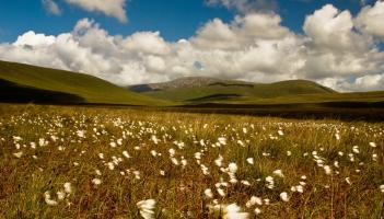 The Wild Nephin National Park in Ballycroy is the least Instagrammable in Ireland
