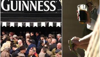 ALERT: Irish fans heading to Cheltenham face huge price for pint of Guinness