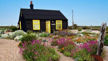 GARDENING: How to create a coastal garden in Mayo