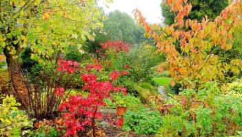 OUTDOOR LIVING: Tips and tricks for autumn gardening
