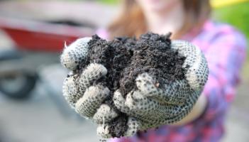 GARDENING: Compost — from waste to garden wonder