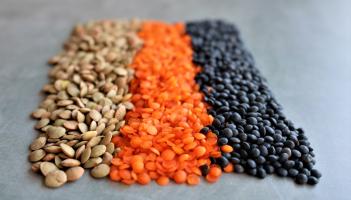 FOOD: Go healthy with a Spanish-style lentil stew