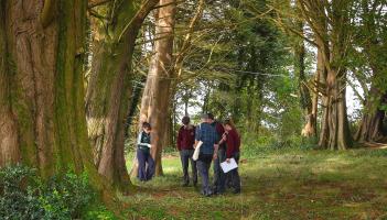 Coming together to protect nature in Tourmakeady