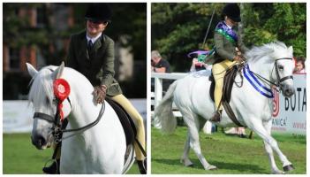 Mayo student and her mare win at Connemara Pony Show