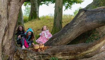 Lots of spooky fun for Halloween at the National Museum in Mayo