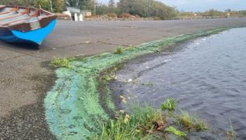 Public given warning following reports of algal on Mayo Lakes