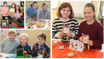 PHOTOS: Were you at the Harvest Fair at Mayo National School?