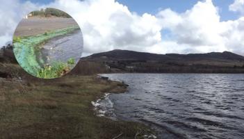 Public given warning following reports of algal on Mayo lake