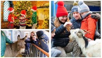 Christmas programme announced by National Museum of Ireland in Mayo