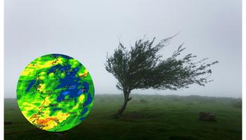 Torrential conditions for weekend ahead as three counties hit with weather warnings