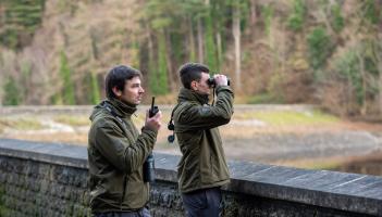 Inland Fisheries Ireland launches recruitment drive for seasonal posts in Mayo