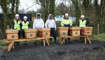 Astatine team members and beekeeping support pictured behind 6 beehives set up at the Ballina astatine site.