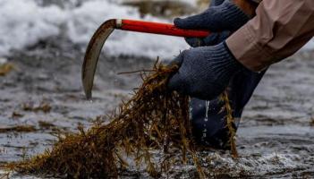 &ldquo;This has to be halted in its tracks&rdquo; - West Mayo Cllrs opposite application