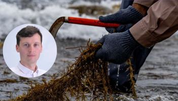 Paul Lawless seaweed meeting