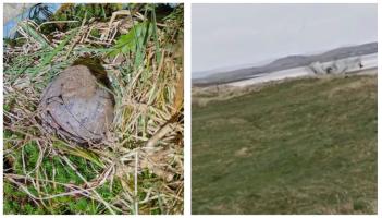 WATCH: Grenade exploded by special team