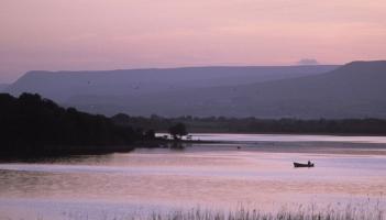 How does nitrate pollution affect Mayo's rivers and lakes?