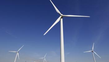 40 hectares of trees to be cut to facilitate proposed wind turbines in Mayo townlands