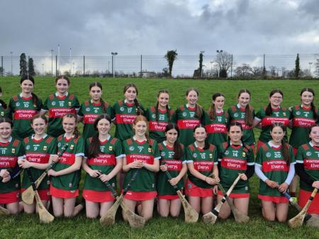 Mayo U-16 Camogie team taste defeat at hands of Wicklow