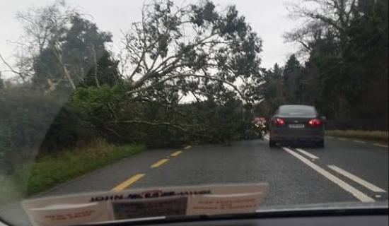 Alert: Met Eireann pinpoints when status yellow wind warning is set to hit Mayo