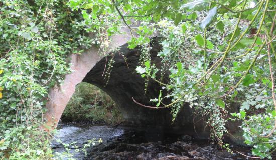 TOWNLAND TALES: Knocking around Kilmeena