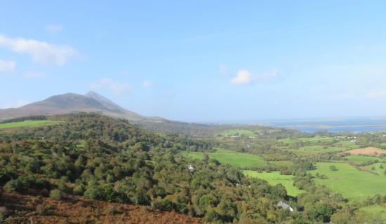 TOWNLAND TALES: Cuckoo about Killeenacoff