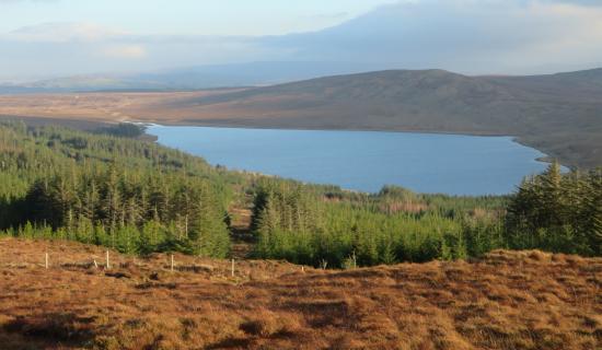 TOWNLAND TALES: Getting to grips with grassy places in Murrisk Barony