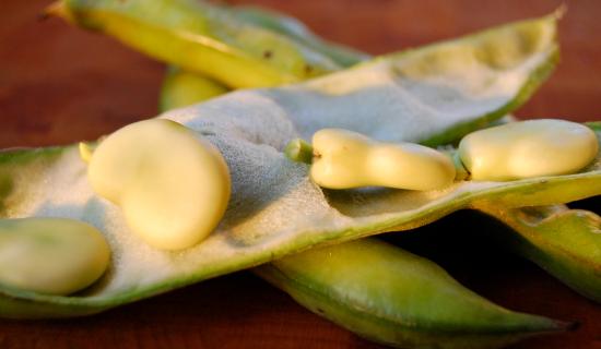 FOOD: A light summer pasta and a delicious dessert