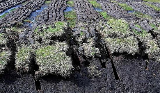 NATURE: Bog enough to burn?