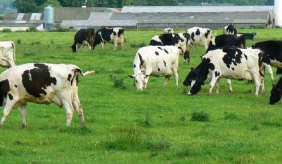 Mayo farmers encouraged to attend upcoming Mercosur protest