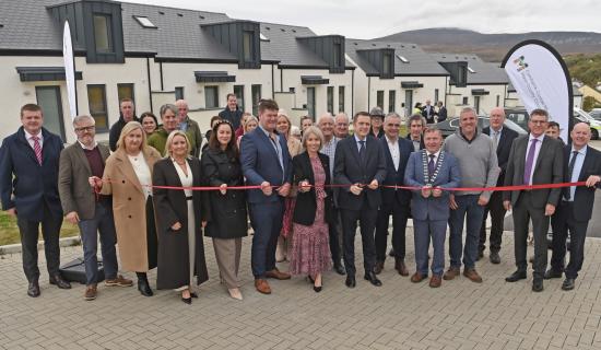 How many homes will Mayo County Council build this year?