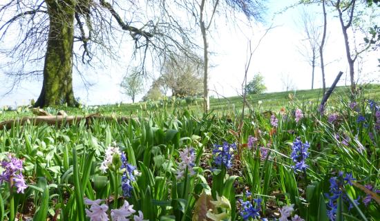 Mayo museum set for eventful midterm period