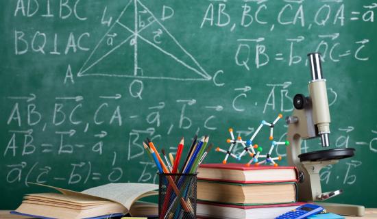 Five Mayo schools to receive more teachers and support
