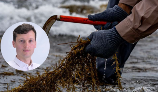 Paul Lawless seaweed meeting