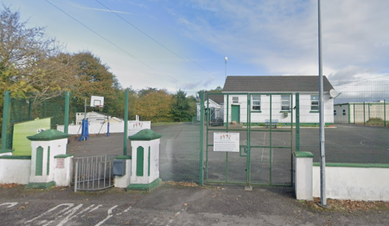 Educate Together survey 