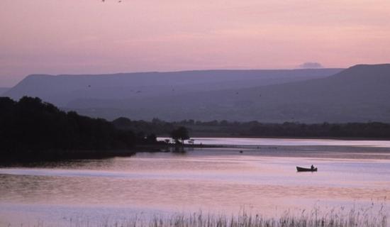 Fine was issued against Mayo landowner for removal of woodland near Lough Carra