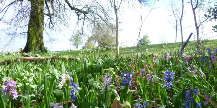 Mayo museum set for eventful midterm period