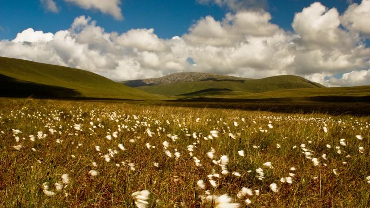 The Wild Nephin National Park in Ballycroy is the least Instagrammable in Ireland