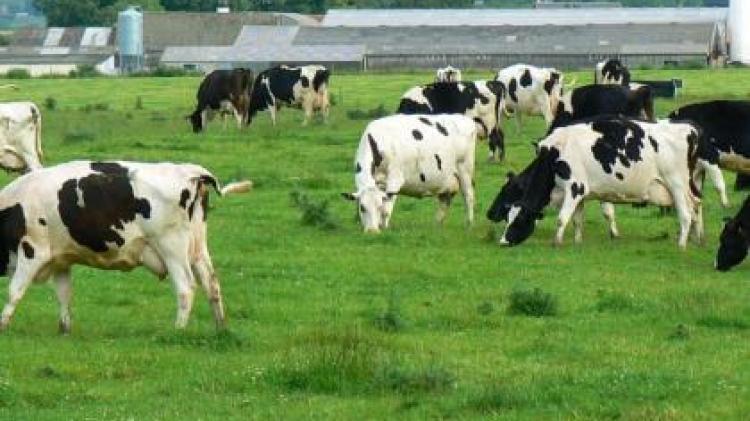 Mayo farmers encouraged to attend upcoming Mercosur protest