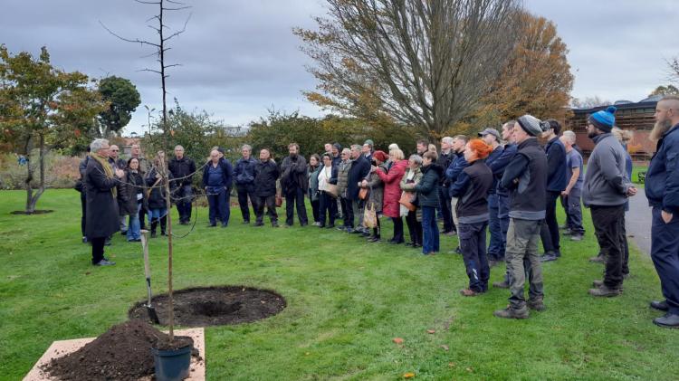 Mayo Abbey man honoured in Botanic Gardens in Dublin