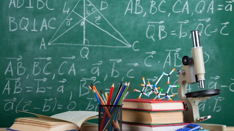 Five Mayo schools to receive more teachers and support