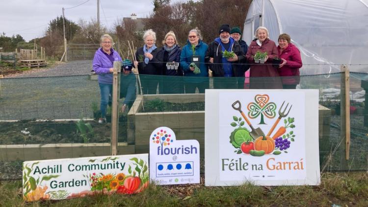 Seven Mayo communities take part in national festival