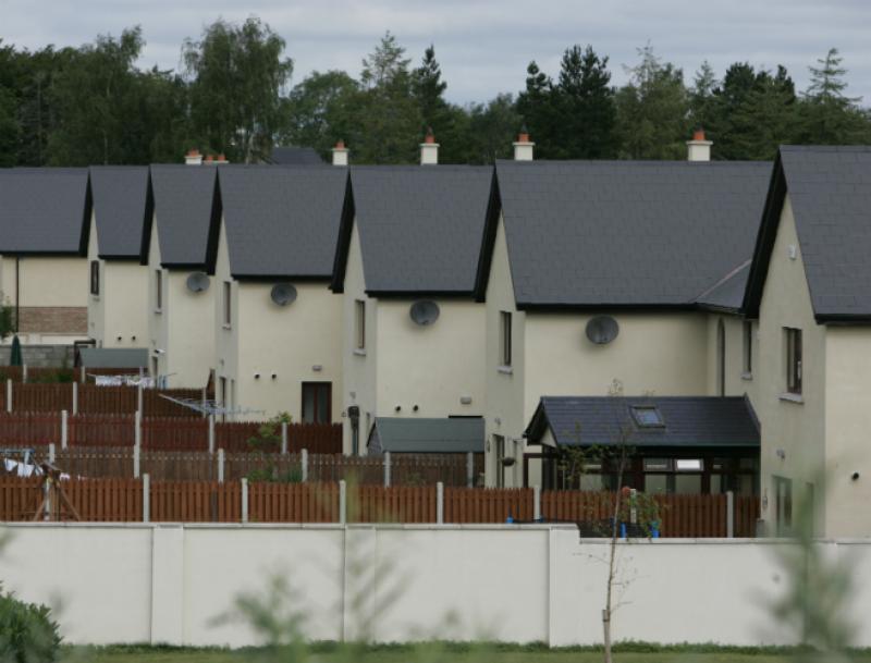 ‘I’d nearly take them into my house if I had space for them’ - Mayo estate agent