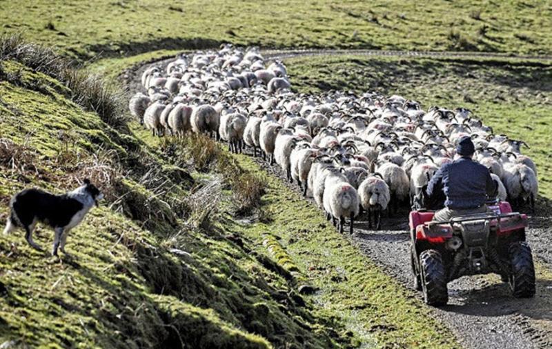 Mayo farmers will quiz election candidates in debate in Newport