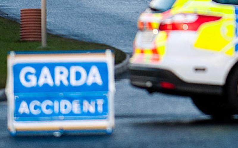 Gardai appeal for witnesses after pedestrian dies following suspected 'hit and run'