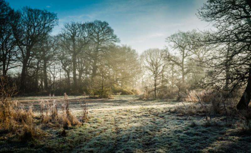 Met Éireann predicts 10C temperature plunge after weekend heat blast
