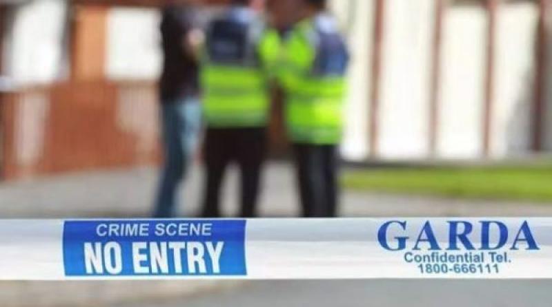 Two people arrested as gardaí investigate discovery of man's body in Wexford