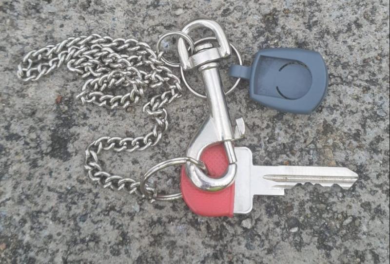 Over half of Mayo students likely to emigrate, according to survey