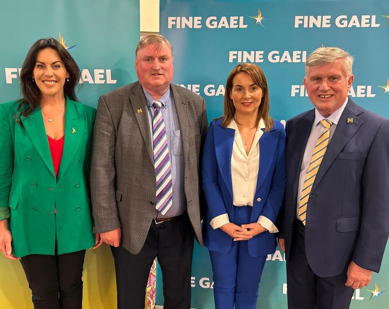 Fine Gael select new candidate to contest local elections